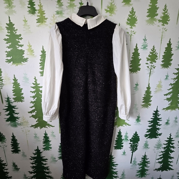 Black Sleeveless Dress with White Collar - Picture 2 of 11